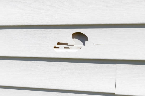 Affordable Siding Repair and Maintenance Services in Whitewater, WI